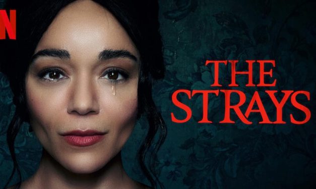 The Strays – Netflix Review (4/5)