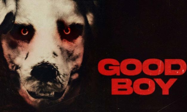 Good Boy – Movie Review (4/5)