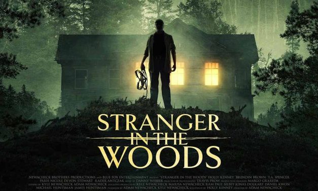 Stranger in the Woods – Movie Review (3/5)