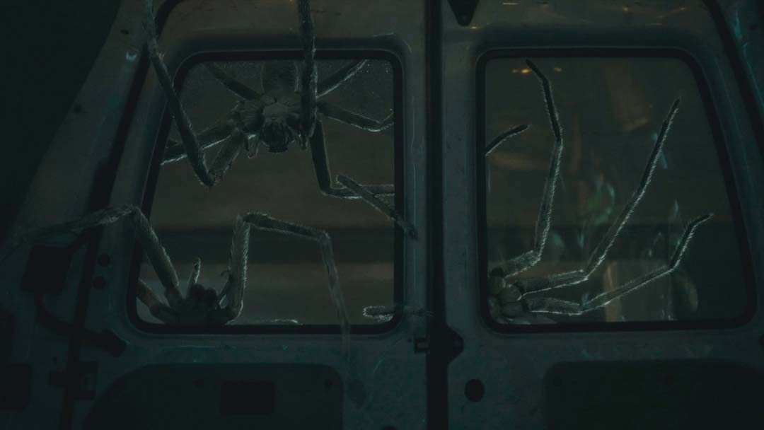 Infested (2023) – Review | Shudder Spider Horror
